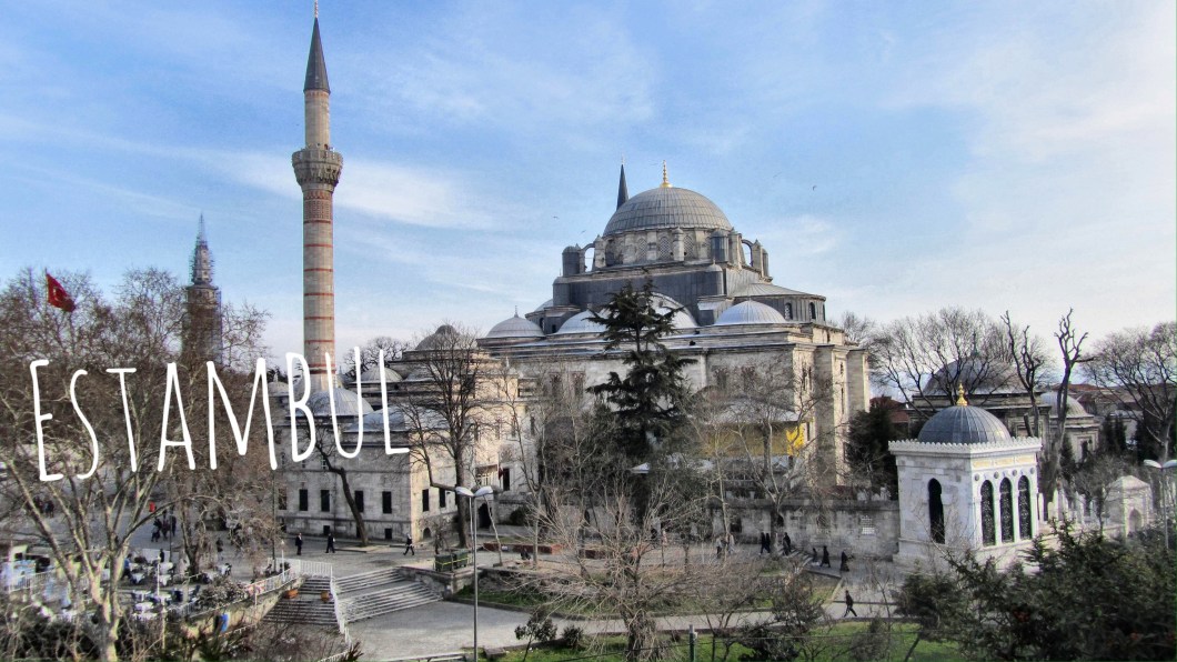 Processed with MOLDIV